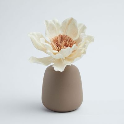 Floral decoration - Aromatic diffuser for home fragrances. Decorative vase to perfume - ANOQ