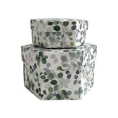 Stationery - Set 2 hexagon gift boxes with lid - "Eucalipto" - TASSOTTI - ITALY