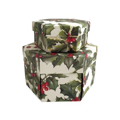 Papeterie bureau - Set 2 boîtes cadeaux hexagonales - " Ramo Agrifoglio " - TASSOTTI - ITALY