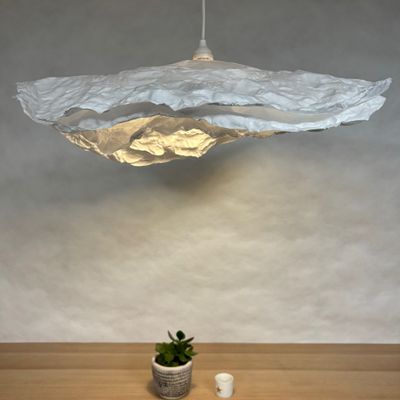 Hanging lights - Florelle Pendant Light - AND CREATION