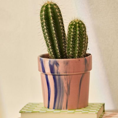 Poterie - JARDINIÈRES - CALMA HOUSE