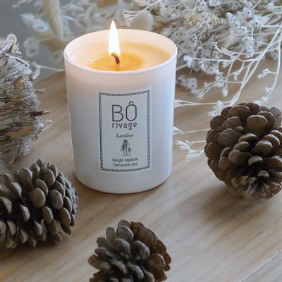 Gifts - "Landes" candle - BÔRIVAGE