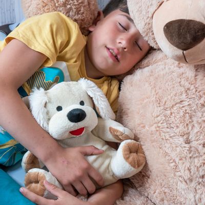 Peluches - Cherry Belly Cuddle Chien Cherry Stone Pillow - Lavable - INATURA