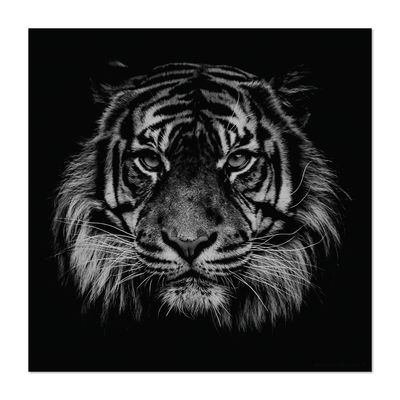 Table mat - Glass Trivet Tiger - MA CHÉRIE MON AMOUR