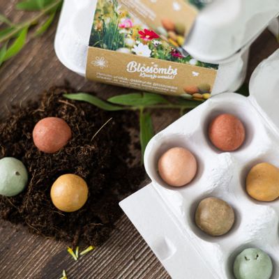 Gifts - Gift Egg Box with 6 Blossombs Seed Bombs - BLOSSOMBS