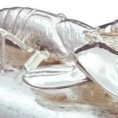 Platter and bowls - Two lobster oval platter with lid - FRANCO LAPINI 1963