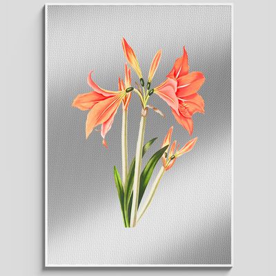 Other wall decoration - AMARYLLIS - FIORI VINTAGE - QUADRO MOLTO BELLO