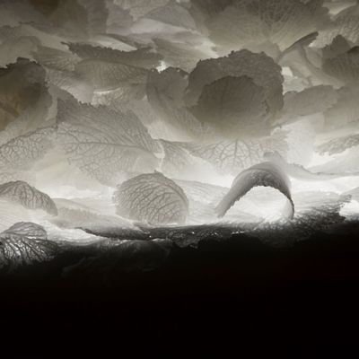 Pièces uniques - Mille et une feuilles - MONA OREN