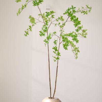 Floral decoration - Artificial trees and plants - Sculpted branches - SILK-KA BV
