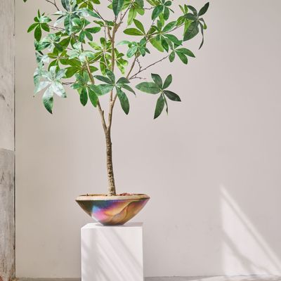 Floral decoration - Artificial trees and plants - The Green Signature Collection - SILK-KA BV