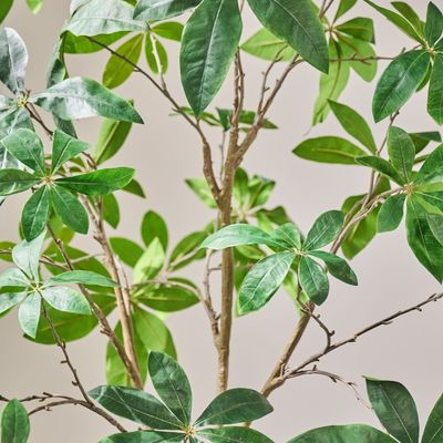 Décorations florales - Arbres et plantes ar- The Green Signature Collection - SILK-KA BV