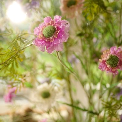 Floral decoration - Fleurs de Scabiosa artificielles - SILK-KA BV
