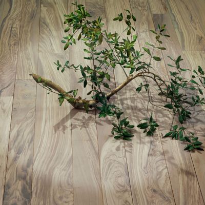 Parquets - Ulivo Sbiancato - ALBERANI PARKETTI