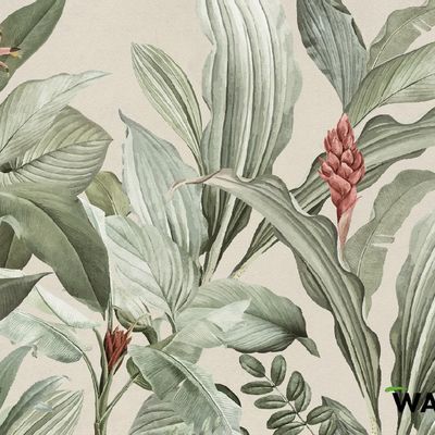 Wallpaper - Wallpaper - KAUAI - WALLYART