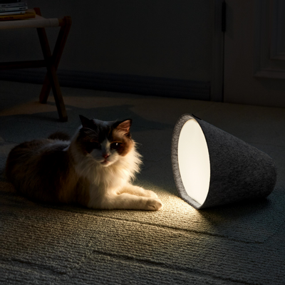 Desk lamps - Single lamp · multifunctional and portable - OLOILU