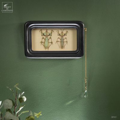 Paintings - Our collection of paintings - OBJET DE CURIOSITÉ