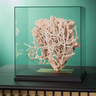 Objets de décoration - Notre collection de pièces exceptionnelles. - OBJET DE CURIOSITÉ
