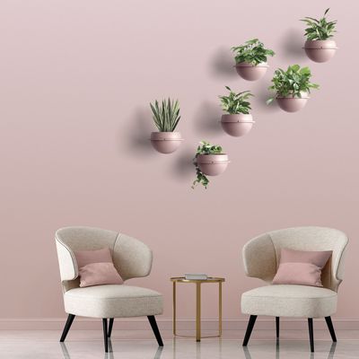 Vases - Astra Wall Pale pink - ABSOLUTA COLLECTION