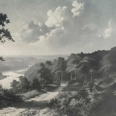 Wallpaper - Out Of The Woods Grey and White Panoramic Wallpaper - LA MAISON MURAEM