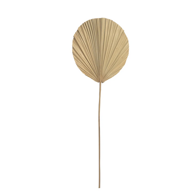Decorative objects - The Rayung Leaf - Natural - BAZAR BIZAR LIVING