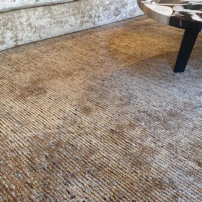 Contemporary carpets - Majestic - ANGELO RUGS