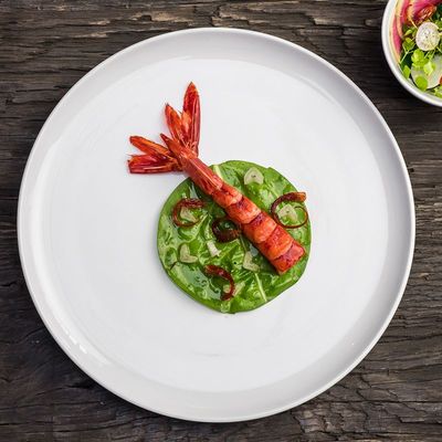 Everyday plates - SELENA TABLEWARE - TABLE PASSION / BASTIDE 1880