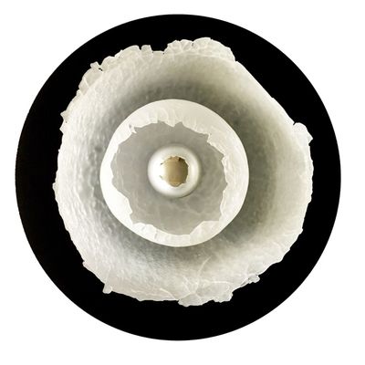 Wall lamps - Applique\" Blown\ " - FLORENCE LEMOINE