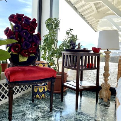 Chairs - Primavera - MARILA ZANELLA