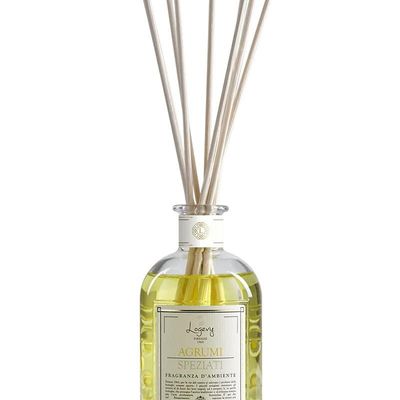 Home fragrances - Home fragrance - 100 ml - LOGEVY FIRENZE 1965