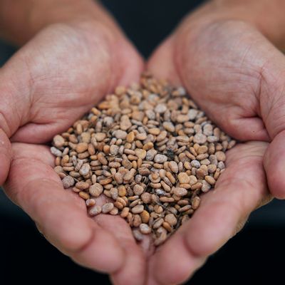 Lampes de bureau  - URCYL - URCYL