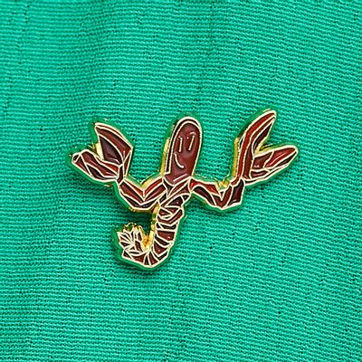 Brooches - Pin Shrimp - PINPINPIN.IT