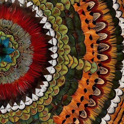 Other wall decoration - VISION - FANNY LITZIA