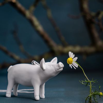 Objets de décoration - FERKEL; piglet fine bone china, deco object - KLATT OBJECTS