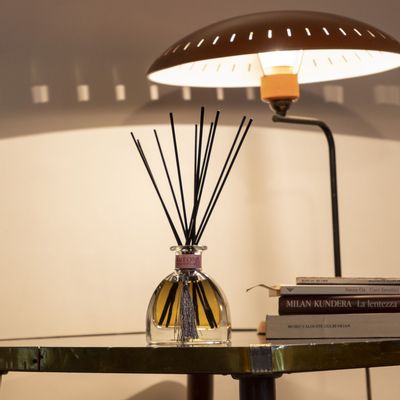 Scent diffusers - AREON SALON PERFUMES - AREON