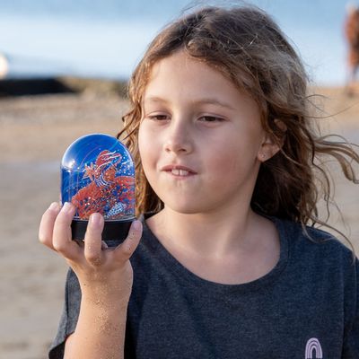 Accessoires de déco extérieure - Boule à paillette Michel Bellepêche - LES RITOURNAILES