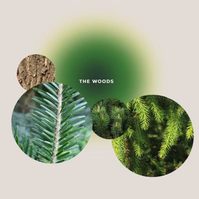 Beauty products - Bath Salts THE WOODS  Breathe & Recharge 100g - GIVING LOVE TO