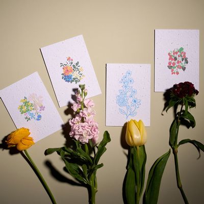 Card shop - growing paper cards - SEASON PAPER