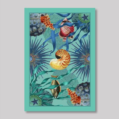 Paréos - Paréo Nautile turquoise - PATRICIA LAUZES