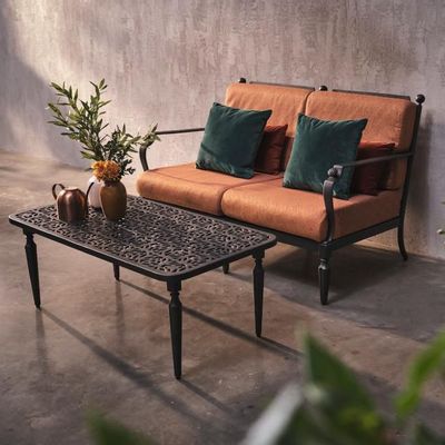 Lawn sofas   - Petrosphere Double Sofa - OXLEY'S FURNITURE