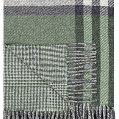 Plaids - Dundee Plaid - COCCOY