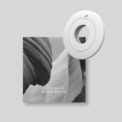 Autres objets connectés  - Recharge de diffuseur  Scentag II Tesla - SCENTAG- MAGNETIC CAR AIR FRAGRANCE