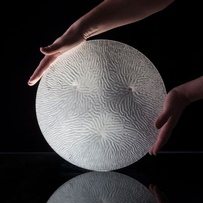 Crystal ware - Crystal Creative Collection - CRYSTAL CREATIVE