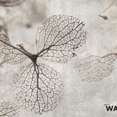 Wallpaper - wallpaper - GISELLE - WALLYART