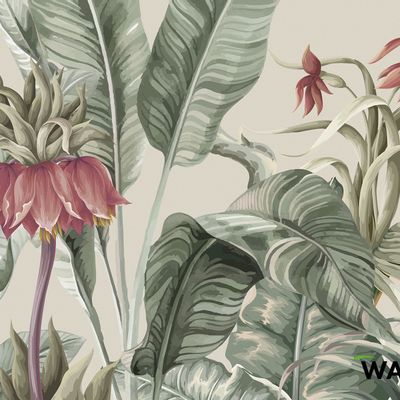 Wallpaper - wallpaper - KAUAI MEMORIES - WALLYART