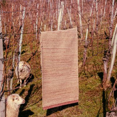 Tapis design - BRUT NATURE - DESIGNERCARPETS DRECHSLE