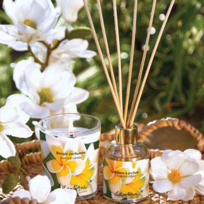 Diffuseurs de parfums - FLEURS EXOTIQUES - LOTHANTIQUE