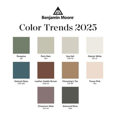Peintures et vernis - Couleur de l'année Benjamin Moore et tendances en matière de couleurs 202 - BENJAMIN MOORE