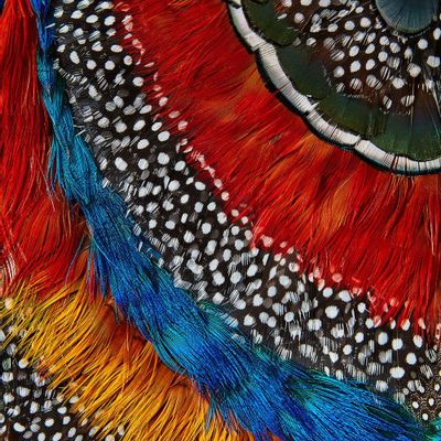 Pièces uniques - TOKYŌ - FANNY LITZIA