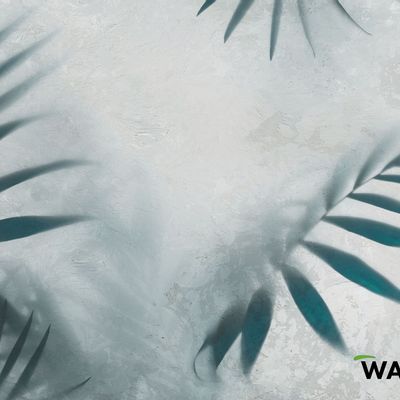 Wallpaper - wallpaper - CHARLOTTE - WALLYART