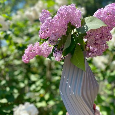 Aménagements pour bureau - Vase "Directions" - AURA 3D